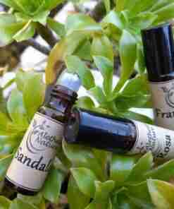 Aceites esenciales entre hojas verdes.